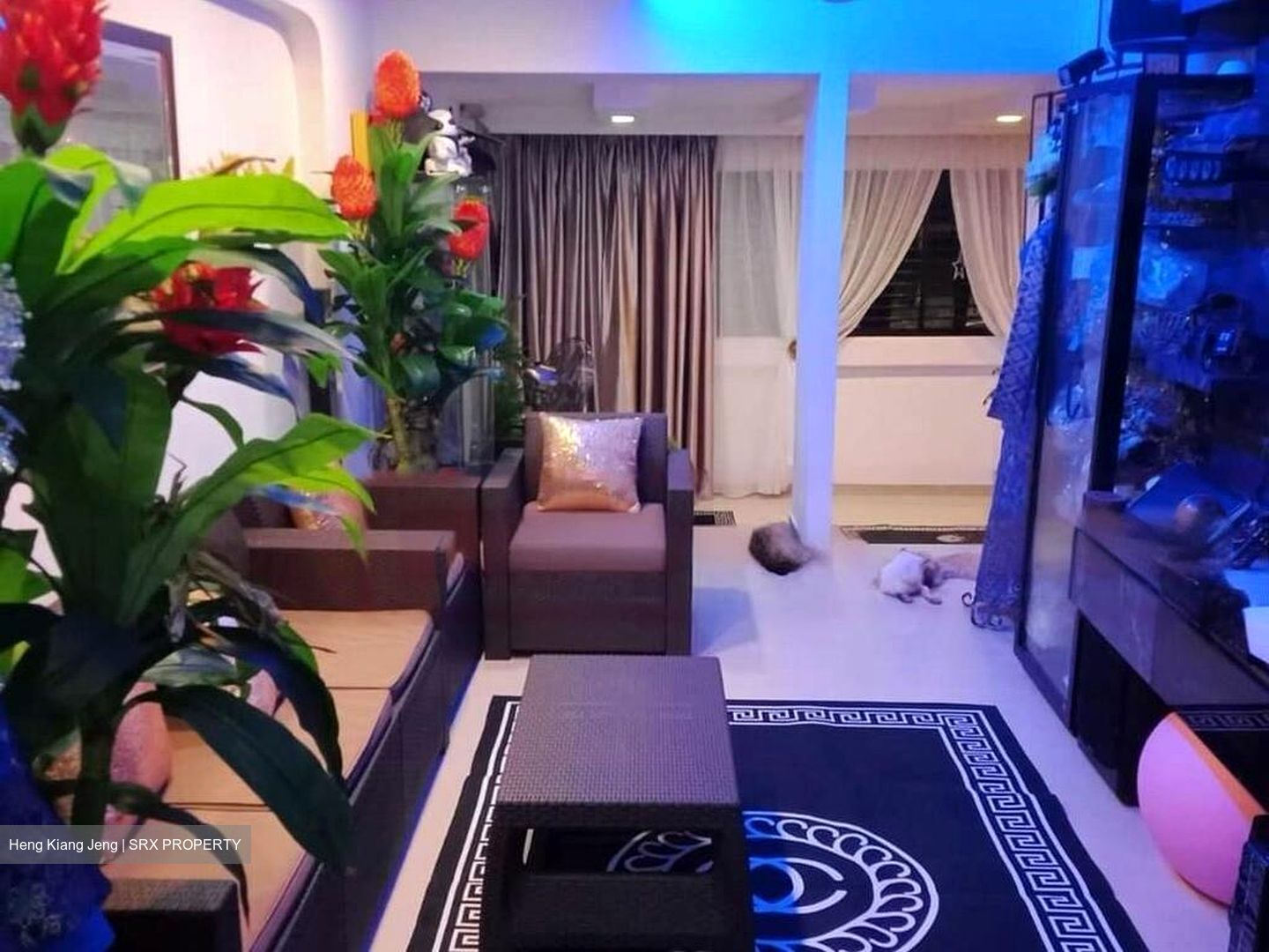 Blk 123 Yishun Street 11 (Yishun), HDB 3 Rooms #453434771